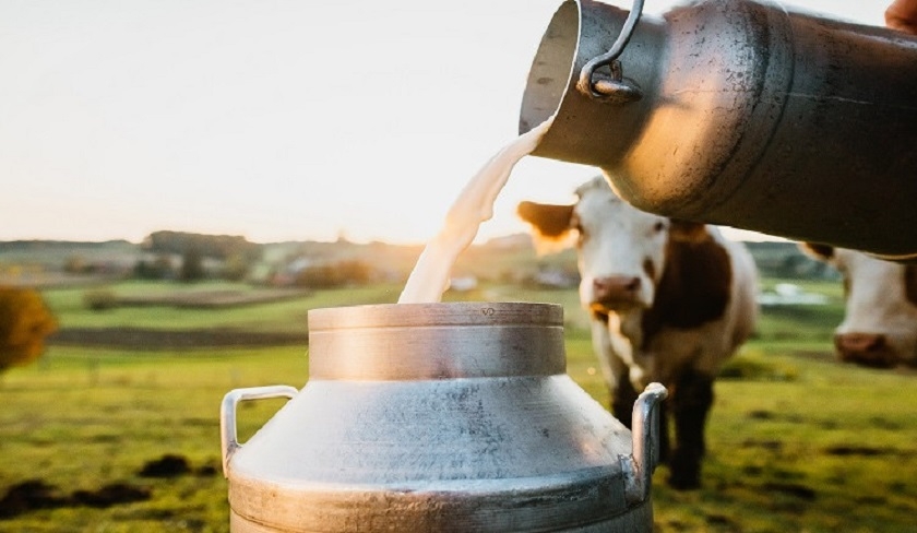 Le stock de lait emballé a baissé de 78% durant les onze premiers mois de 2022