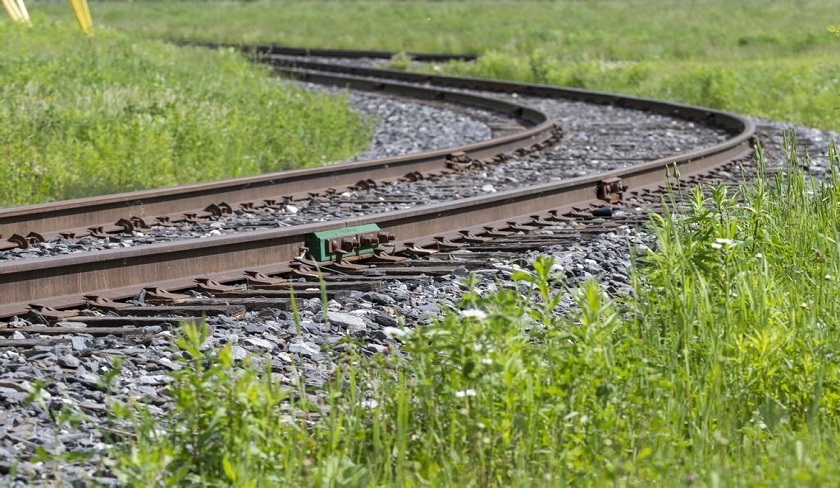 Qu'est-ce que le « trolley dilemma » ?