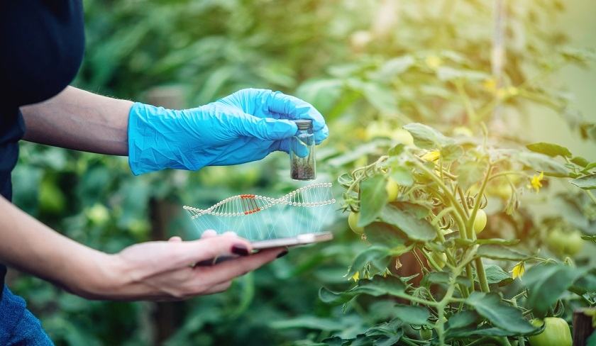 Aliments génétiquement modifiés, une solution pour l'agriculture ou un danger ?