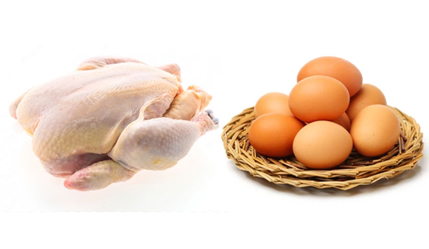 Brahim Nefzaoui : baisse prochaine du prix du poulet et des œufs