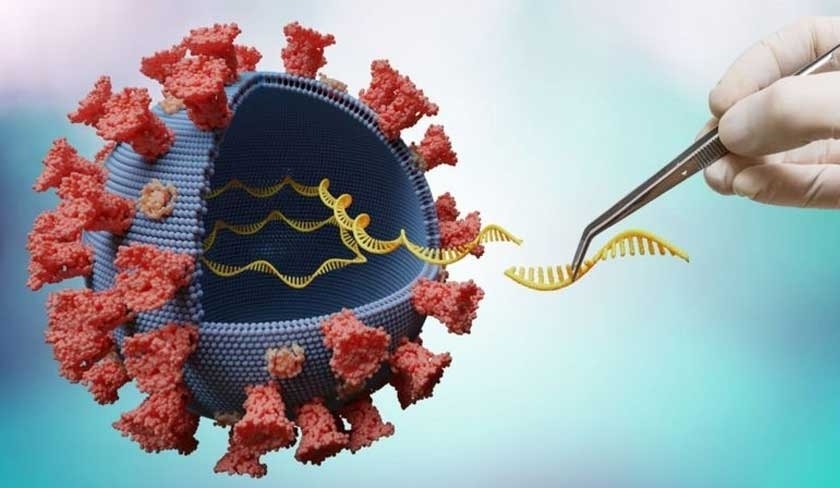 Bilan Covid-19 : trois dcs et cent contaminations