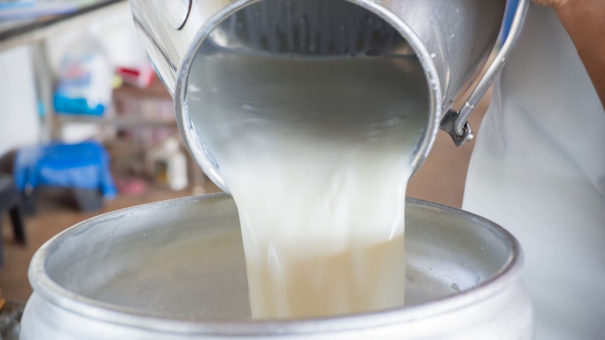 Utap - Le stock stratégique de lait suffit à peine à couvrir dix jours !
