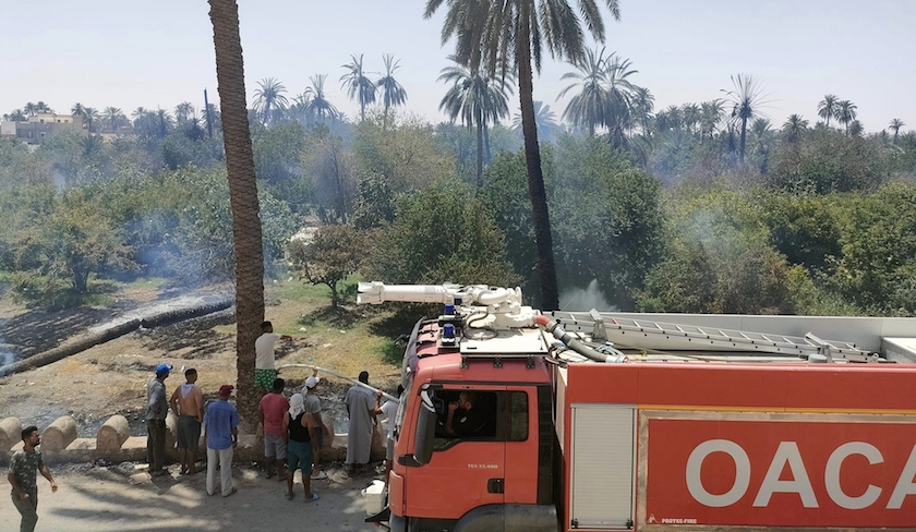 Moez Triaa : la Tunisie a sollicité l’aide de l'UE dans la lutte contre les incendies
